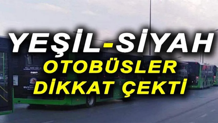 Yeşil-siyah Otobüsler Dikkat Çekti