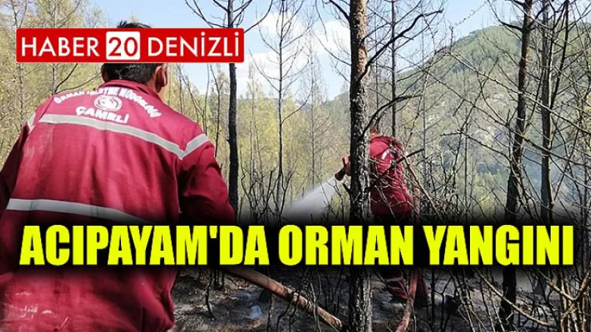 Acıpayam'da Orman Yangını