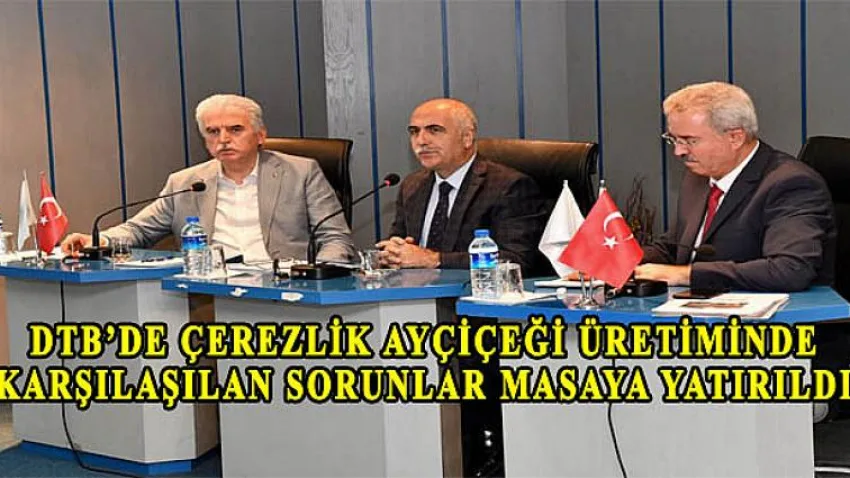 DTB’de Çerezlik Ayçiçeği Üretiminde Karşılaşılan Sorunlar Masaya Yatırıldı