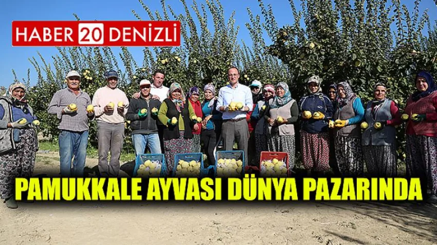 Pamukkale Ayvası Dünya Pazarında