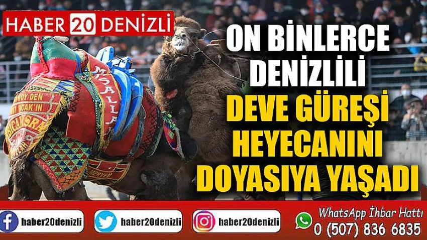 On binlerce Denizlili deve güreşi heyecanını doyasıya yaşadı