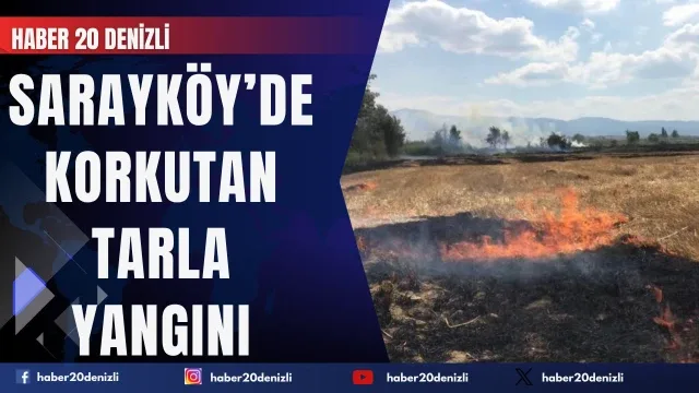 Sarayköy’de Korkutan Tarla Yangını: İtfaiye Faciayı Önledi!