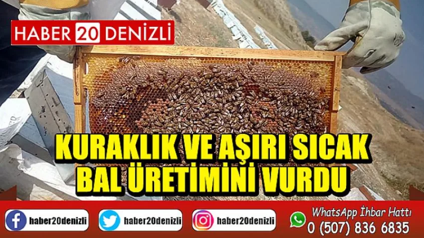 Kuraklık ve aşırı sıcak bal üretimini vurdu