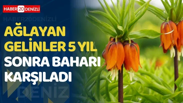 Ağlayan gelinler 5 yıl sonra baharı karşıladı