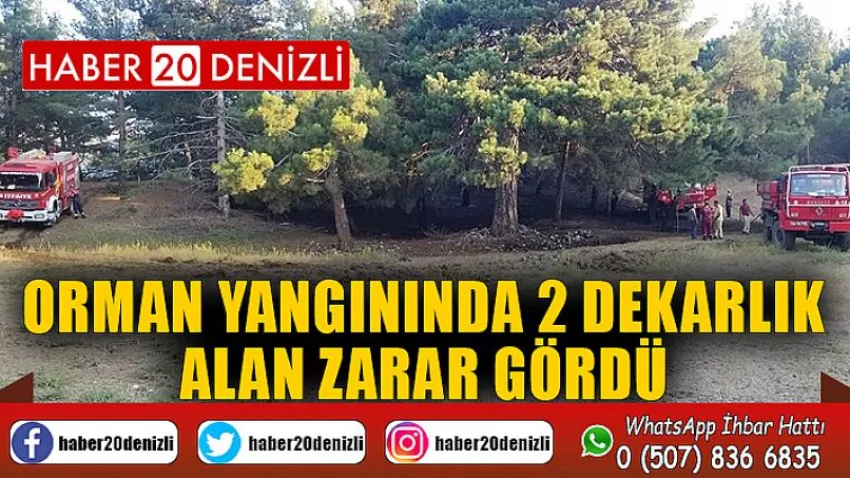 Orman yangınında 2 dekarlık alan zarar gördü
