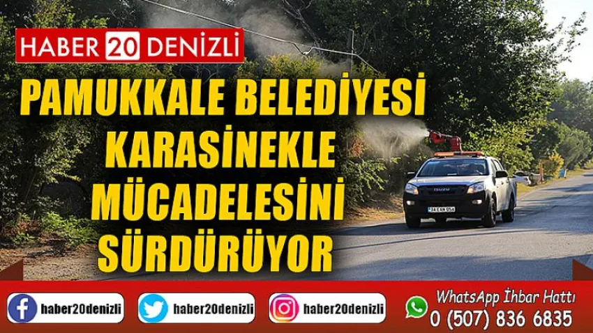Pamukkale Belediyesi Karasinekle Mücadelesini Sürdürüyor