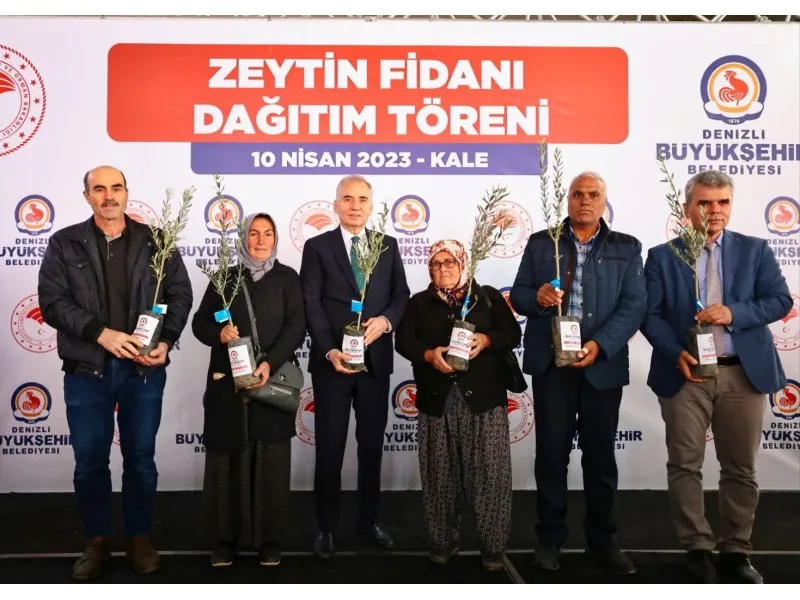 Büyükşehir’den zeytin seferberliği