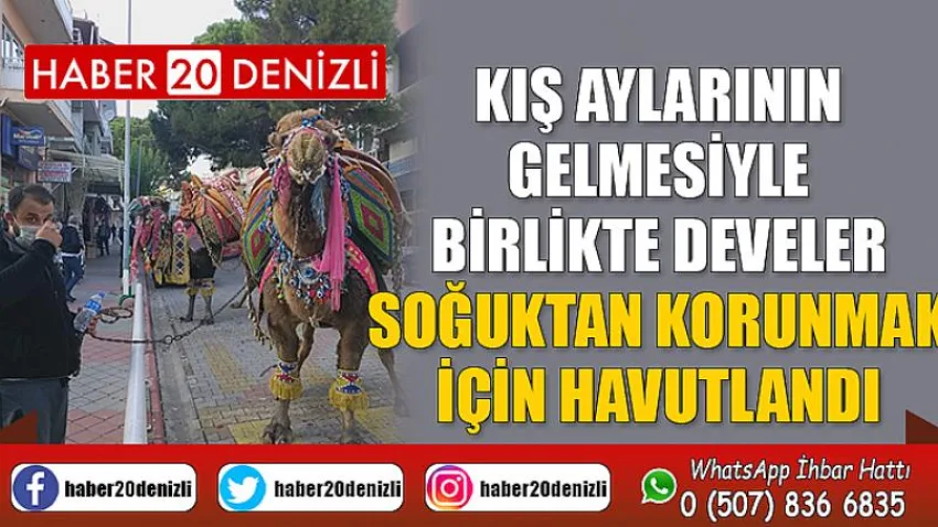 Kış aylarının gelmesiyle birlikte devler soğuktan korunmak için havutlandı