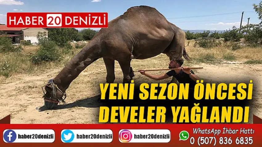 Yeni sezon öncesi develer yağlandı