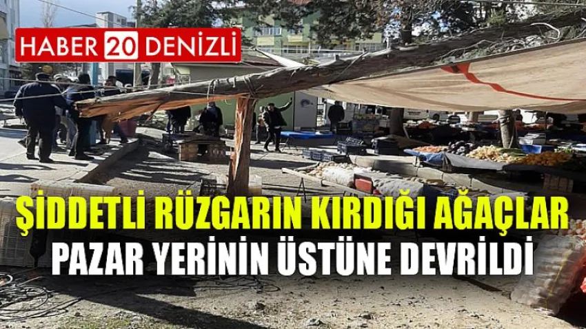 Şiddetli rüzgarın kırdığı ağaçlar pazar yerinin üstüne devrildi