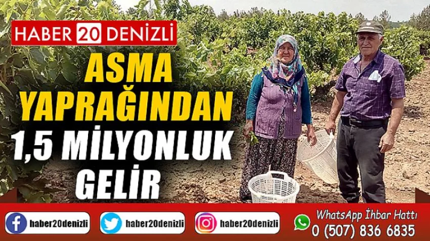 Asma yaprağından 1,5 milyonluk gelir