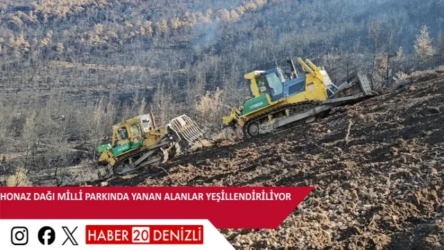 Honaz Dağı Milli Parkında yanan alanlar yeşillendiriliyor
