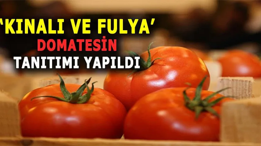 'Kınalı ve Fulya' Domatesin Tanıtımı Yapıldı