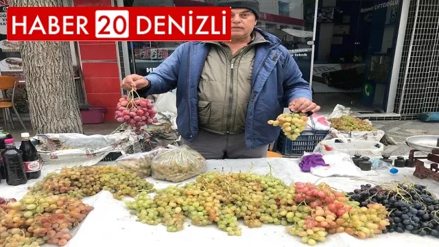 1000 rakımda yetişen üzüm, lezzetiyle damakları şenlendiriyor