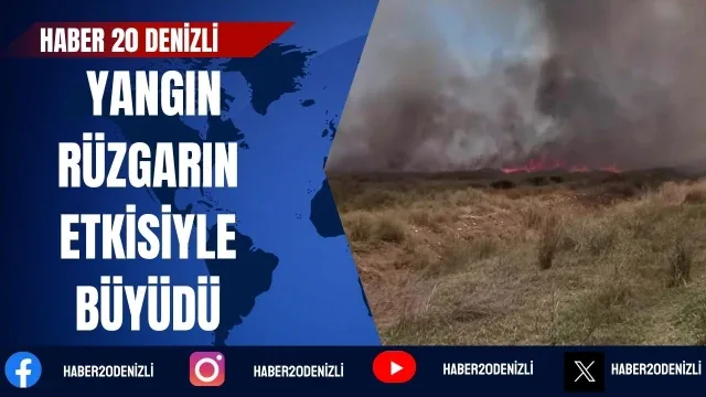 Tarlada çıkan yangın rüzgarın etkisiyle büyüdü