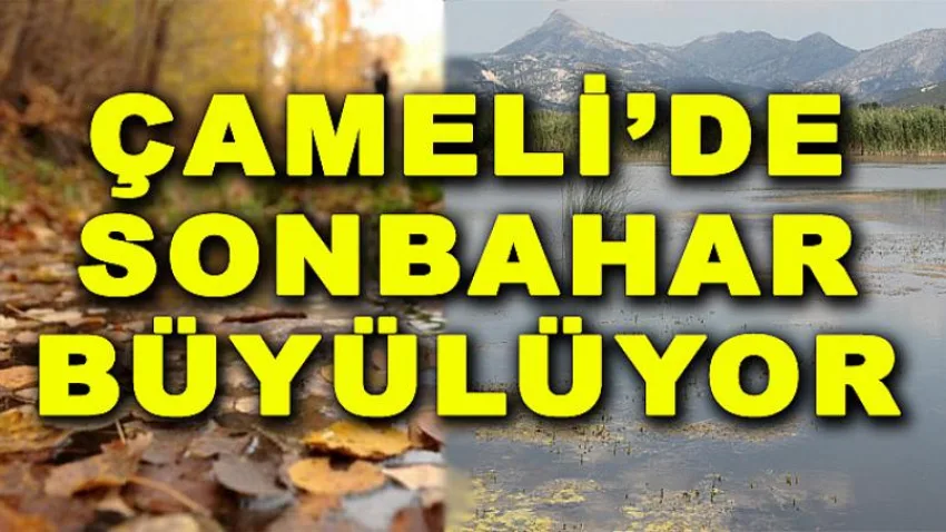 Çameli'de Sonbahar Büyülüyor...