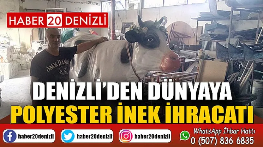 Denizli’den dünyaya polyester inek ihracatı