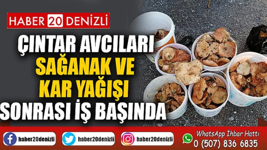 Çıntar avcıları sağanak ve kar yağışı sonrası iş başında