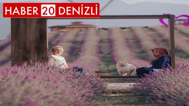 Merkezefendi’nin mor güzelliği misafirlerini bekliyor