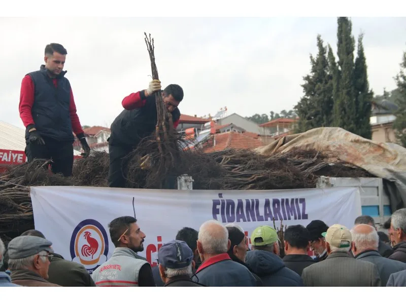 DTB’nin Ceviz Fidanı Seferberliği Devam Ediyor