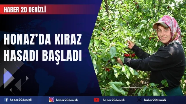 Honaz’da kiraz hasadı başladı