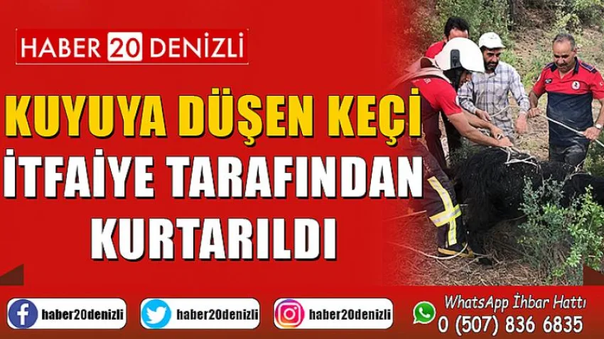 Kuyuya düşen keçi itfaiye tarafından kurtarıldı