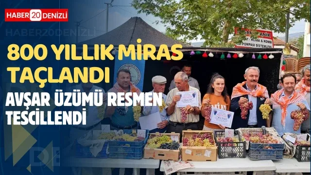 ​800 Yıllık Miras Taçlandı: Avşar Üzümü Resmen Tescillendi!