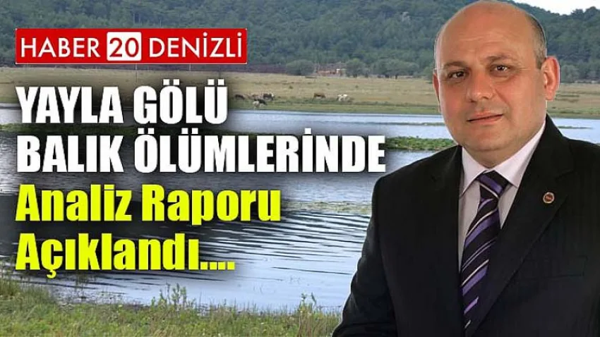 Yayla Gölü Balık ölümlerinde analiz raporu açıklandı
