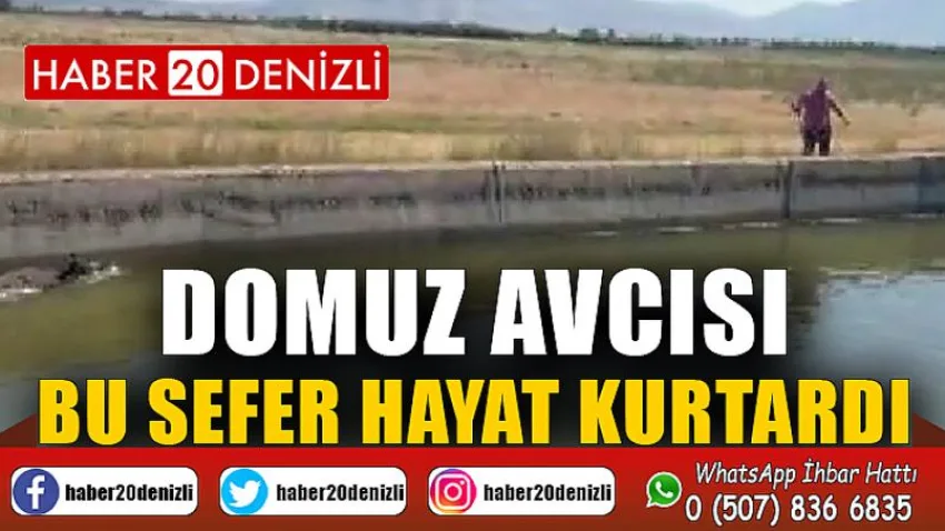 Domuz avcısı bu sefer hayat kurtardı