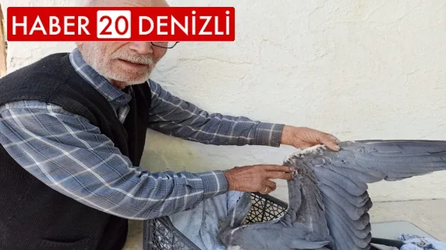Avcıların vurduğu turnaya mahalleli sahip çıktı