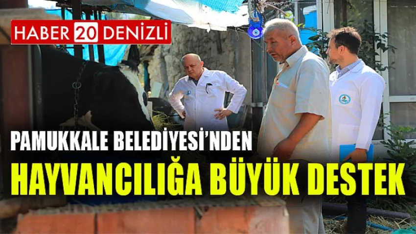 Pamukkale Belediyesi’nden Hayvancılığa Büyük Destek
