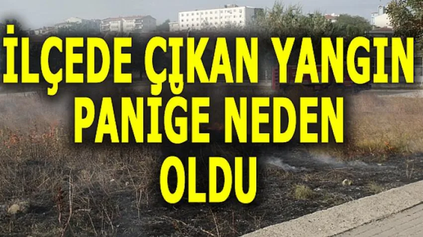 İlçede Çıkan Yangın Paniğe Neden Oldu