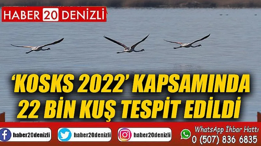 PAÜ’lü Araştırmacıların Gerçekleştirdiği ‘KOSKS 2022’ Kapsamında 22 Bin Kuş Tespit Edildi