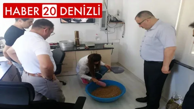 TMO son buğday tanesine kadar alım yapacak