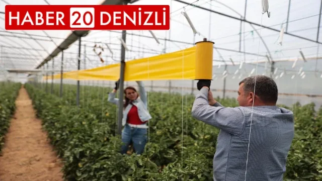 Denizlili üreticilere haşerelerle mücadele desteği sürüyor