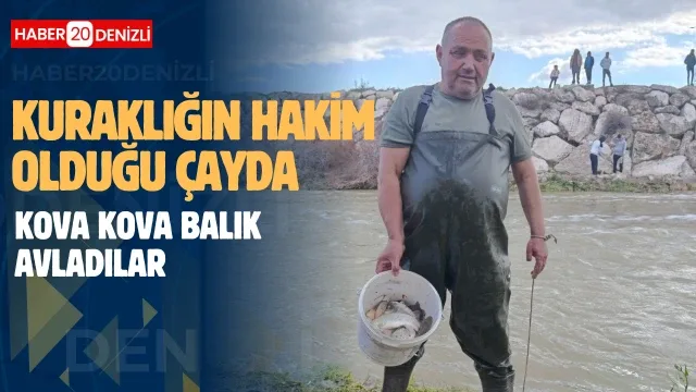 10 yıllık kuraklığın hakim olduğu çayda balık avladılar