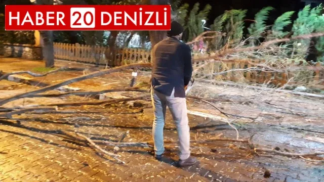 Fırtına ağaçları devirdi, çatıları uçurdu