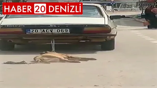 Köpeği araca bağlayıp sürükleyerek öldüren şahsın savunmasına tepki