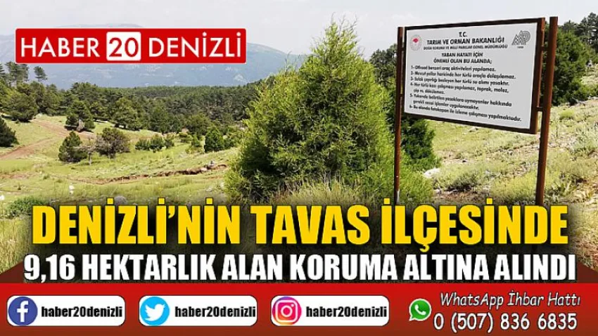 Denizli’nin Tavas ilçesinde 9,16 hektarlık alan koruma altına alındı