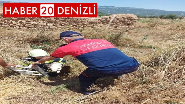 Arazideki kuyuya düşen köpek kurtarıldı