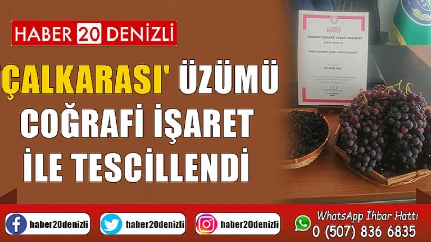 'Çalkarası' üzümü coğrafi işaret ile tescillendi