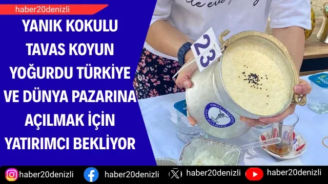 Yanık Kokulu Tavas Koyun Yoğurdu Türkiye ve dünya pazarına açılmak için yatırımcı bekliyor
