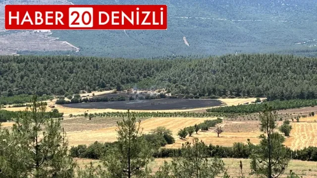 Denizli'de ormana yakın bölgede çıkan yangın söndürüldü