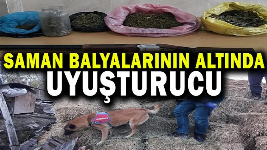 Saman Balyalarının Altında Uyuşturucu
