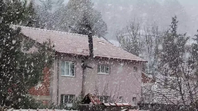 Çameli Beyaza Büründü