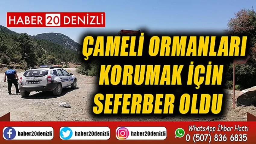 Çameli ormanları korumak için seferber oldu