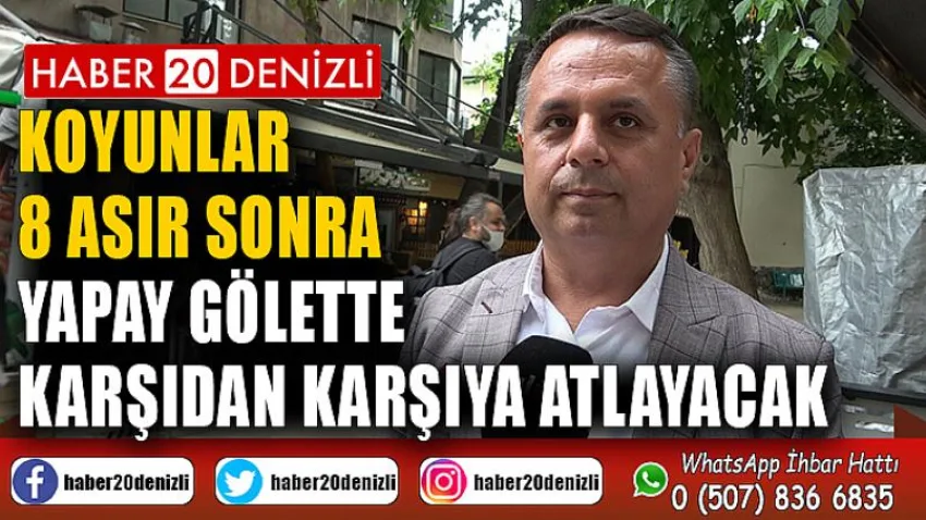 Koyunlar 8 asır sonra yapay gölette karşıdan karşıya atlayacak