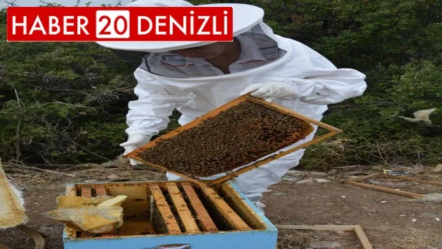 Engelli ve eski hükümlü hibe desteği başvuruları başladı
