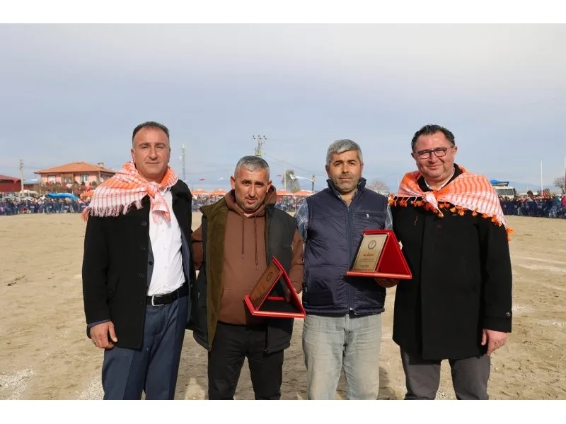 Pehlivan develer, 50 yıl sonra Tavas arenasında boy gösterdi