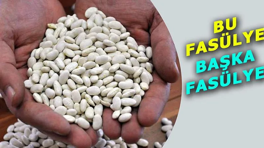Bu Fasülye Başka Fasülye
